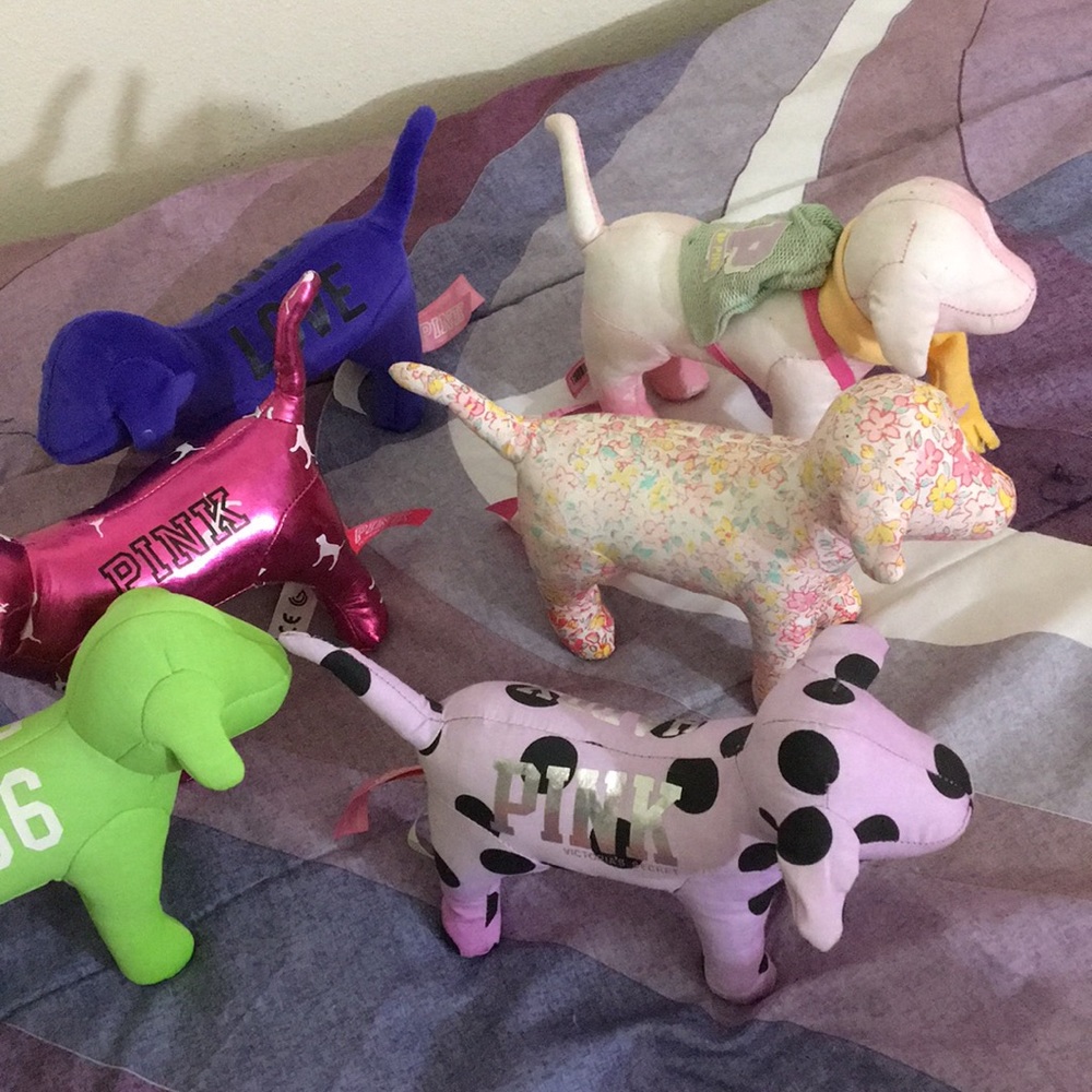 Vs Pink Dogs - Picture 6 of 6